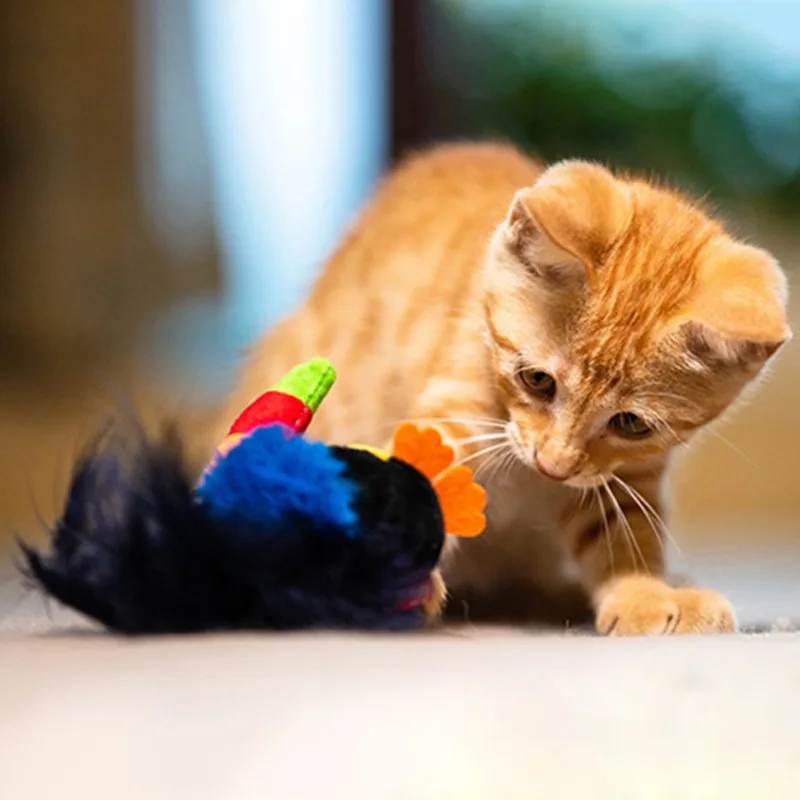 

Pet Toys Cute Parrot Hedgehog Long Billed Bird Shape Plush Sound Toy Soft Bite-resistant Interesting Chew Toys Pet Supplies