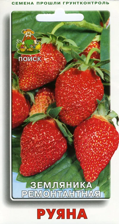Земляника Руяна ремонтантная 100шт /10 (цена за один пакет)|Семена| |