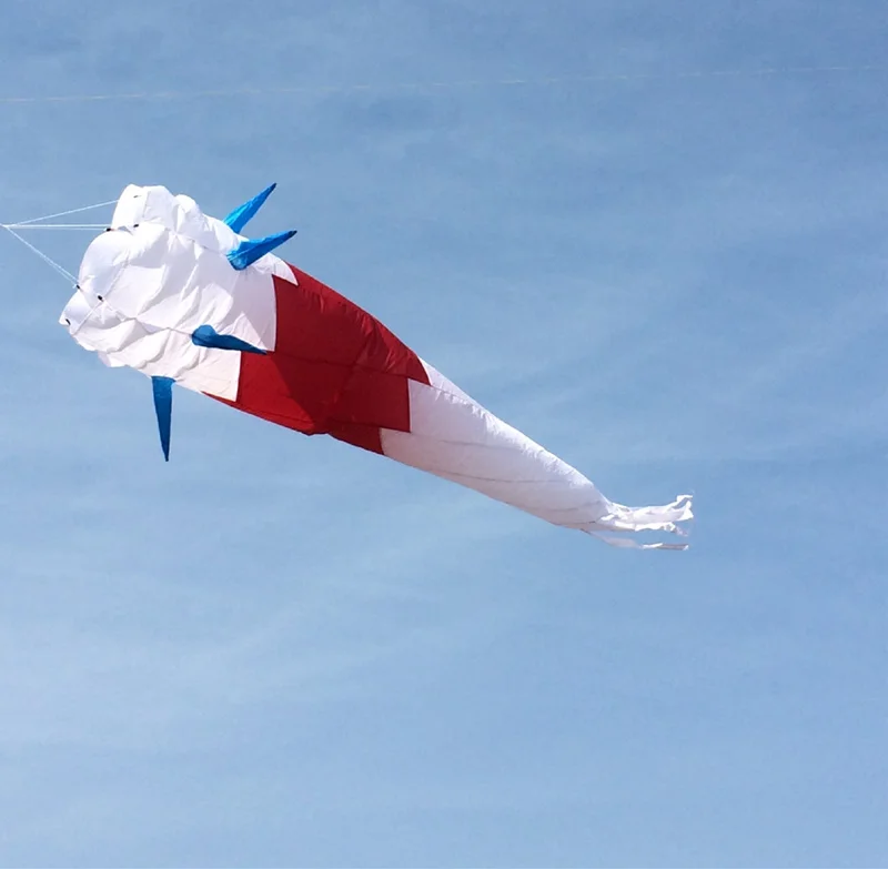 180 см кайт ветрового стекла Спираль Твист змей на открытом воздухе Радуга