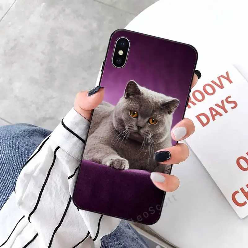 

Webbedepp British Shorthair cat Phone Case for iPhone 11 12 mini pro XS MAX 8 7 6 6S Plus X 5S SE 2020 XR
