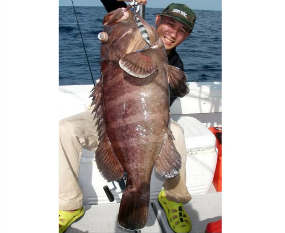 

CASTFUN 60 80 100 160 210