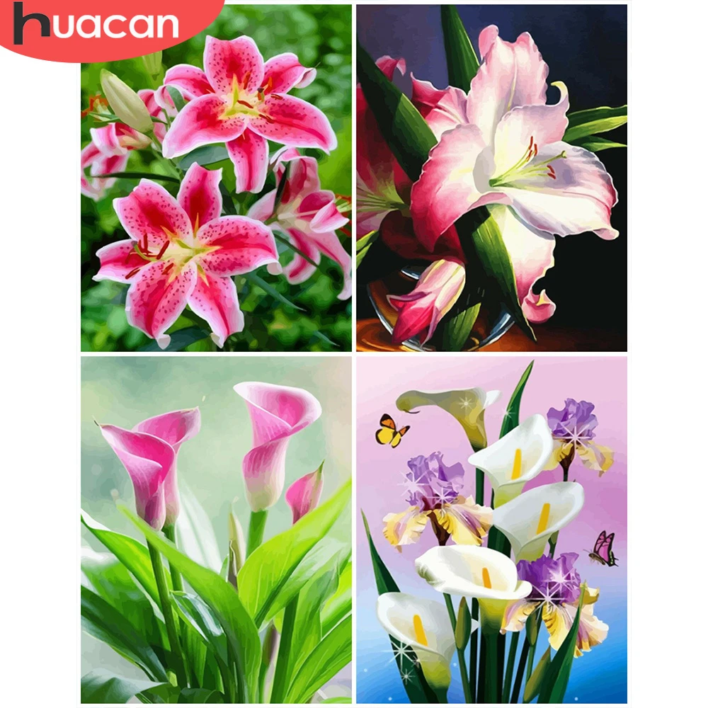 

HUACAN Paint By Number Flower Drawing On Canvas DIY Pictures By Numbers Lily Kits Hand Painted Painting Art Gift Home Decor