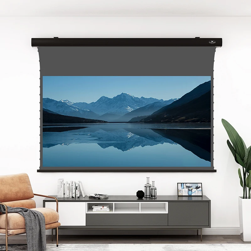 Электрический Проектор VIVIDSTORM 100 дюйма | Электроника