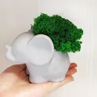 Силиконовая форма в форме слона для цветов, форма для горшка сделай сам, форма для кактуса, суккулента, форма для гипсовой глины