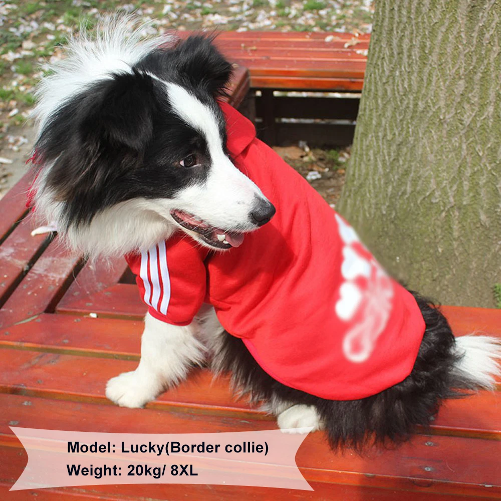 Товары для домашних животных Одежда собак маленьких больших толстовки мягкий