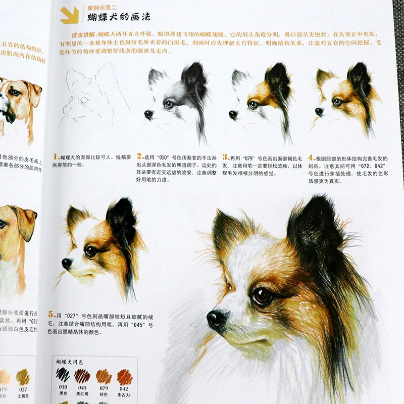 New Color pencil drawing tutorial book animal fruits gourmet flowers for kids adult beginners Sketch painting techniques | Канцтовары