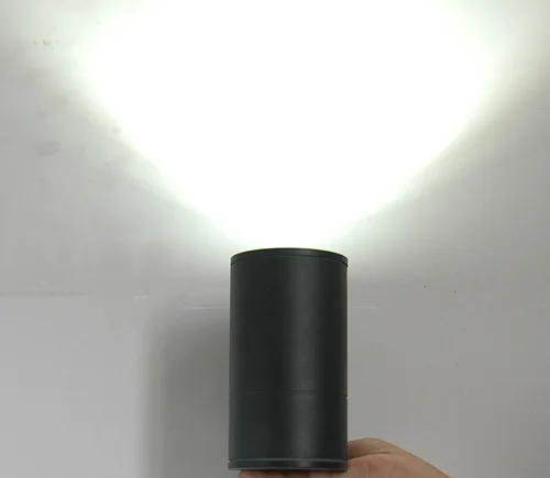 

Free shipping by DHL!! 10W COB LED porch lamp,LED wall lamp,led wall light,indoor and outdoor1X10W,DS-08-15-10W,110V/220VAC,IP65