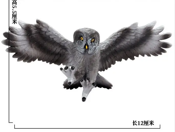 Животные и птицы парк дикой природы орлы морские Совы Птица дикие животные Сова