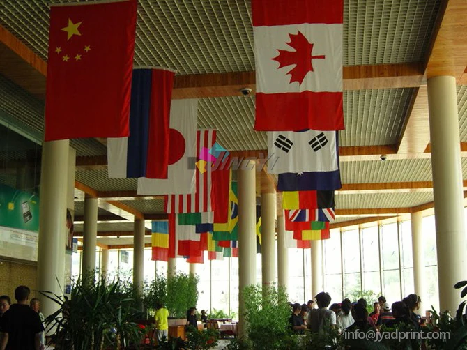 Полиэфирные флаги тканевый флаг транспарант печать на заказ с вашим логотипом и