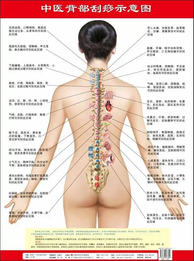 Диаграмма соскабливания Tcm для лица спины ног (3 рисунка в общей сложности)