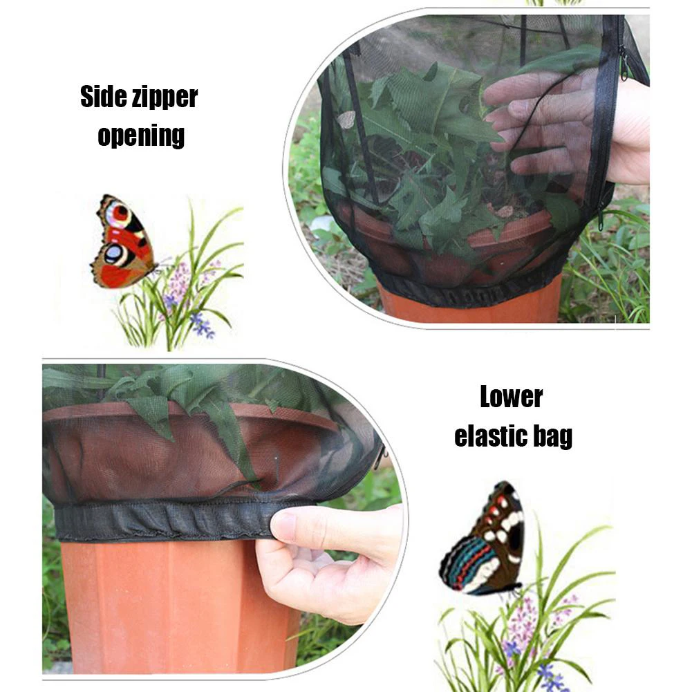 

Plant Insect Net Cage Garden Insect Net Cage Butterfly Insect Feeding Net Cover Flower Pot Ornamental For Gardening Supplies