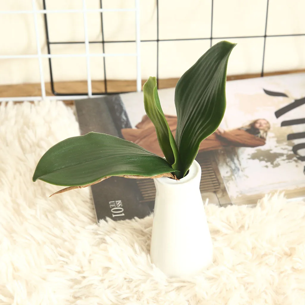 Зеленые листья для украшения домашней вечеринки фаленопсиса Орхидея