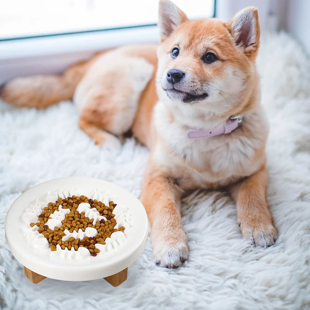 

1 Set Raised Dog Feeder Creative Slow Feeder Ceramic Bowl Pet Feeding Supply
