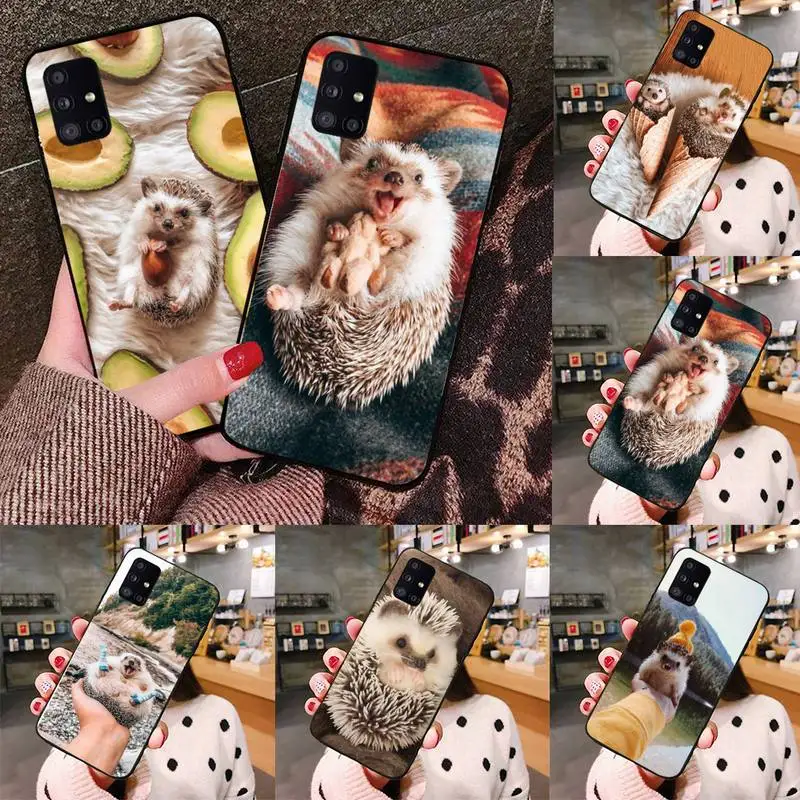 

Cute Hedgehog Phone Case black For Samsung galaxy S 21 20 10 8 A 51 71 50 21s 70 40 20 20e note 10 plus Ultra 5g fe