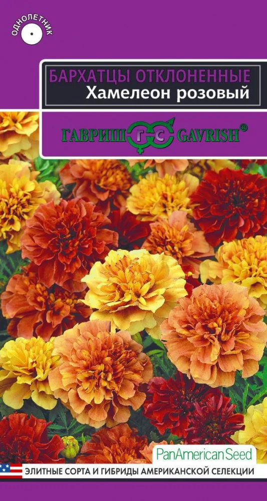 Бархатцы Хамелеон розовый 5шт/10 (цена за один пакет)|Семена| |