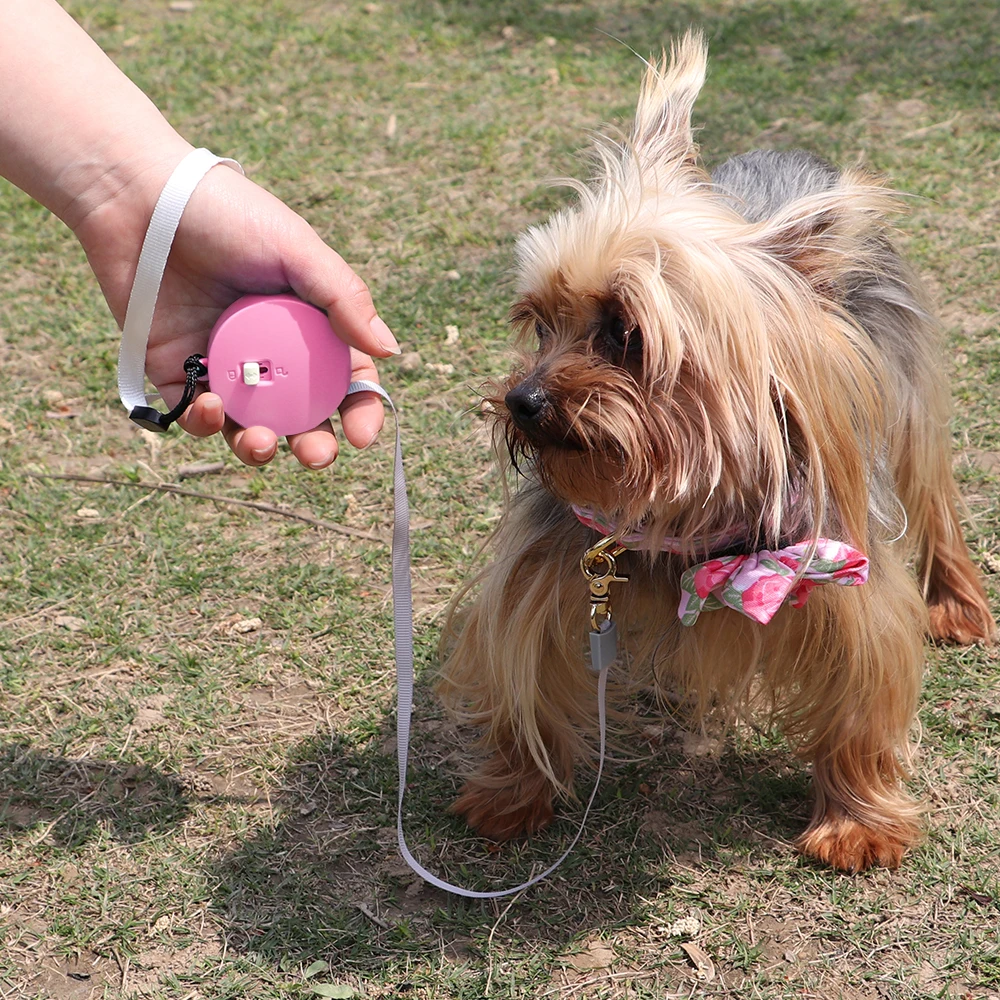 

2M Automatic Retractable Dog Leash Pet Leashes for Dog Puppy Leash Rope Training Walking Leashes Mini Handheld Cat Dog Lead