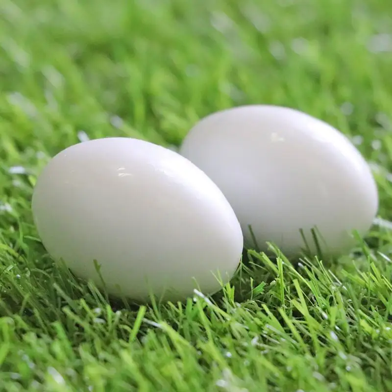 

10PCS Pigeon Fake Eggs Plastic White Solid Pigeon Bird Fake Egg Bird Hatching Supplies Farming Tools Nest Hatching Eggs