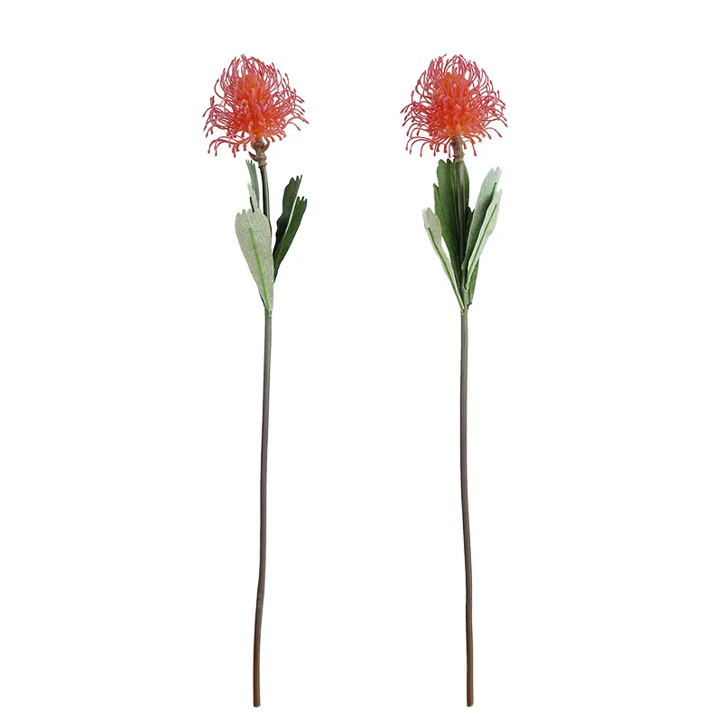 

5pcs Yellow Leucospermum Cordifolium Hydrangea Nutans Flower Wedding Flower Floral Event Party Table Flower Diaplay - INDIGO