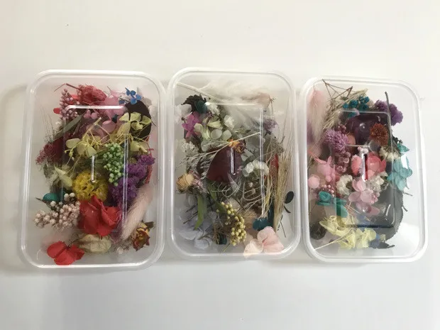 Натуральные сухие цветы цветочный Искусство ремесло скрапбукинга Смолы Форма