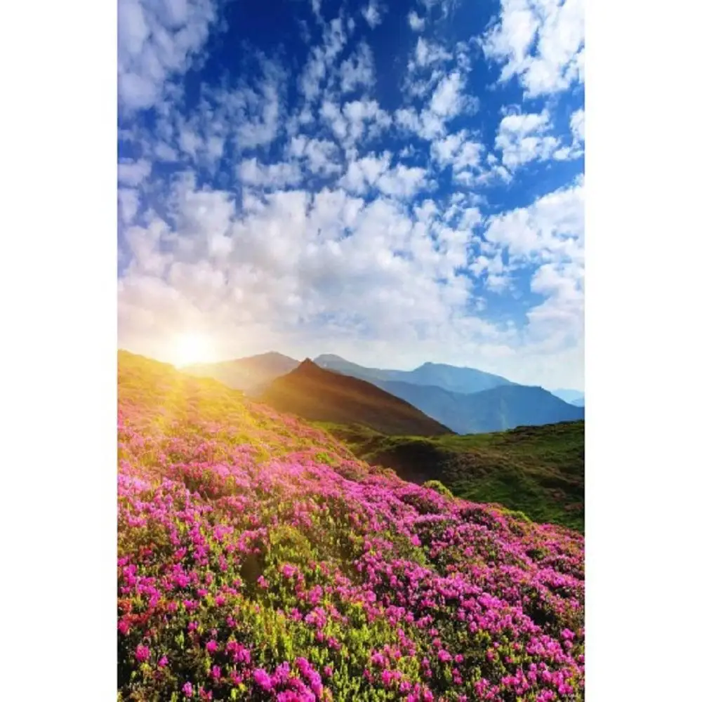 

Реквизит для фотостудии Nitree, праздничный фон, летний цветочный Виниловый фон для фотосъемки в горном стиле