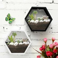 brief handmade acrylic chlorophytum flower pot hanging wall scindapu hydroponic plant vae home living room modern coration