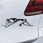 Автомобильная наклейка с двойной лошадью, Стайлинг автомобиля, кузова автомобиля, окна, светоотражающие наклейки, украшение, автотюнинг, Стайлинг