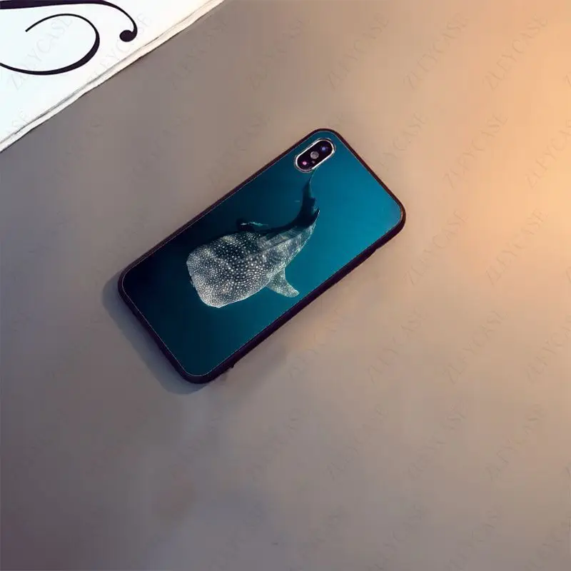 ocean whale shark silicone soft phone case for iphone x xs 12pro max 5s 6splus 7 8plus xr xsmax se 2020 12mini cover free global shipping