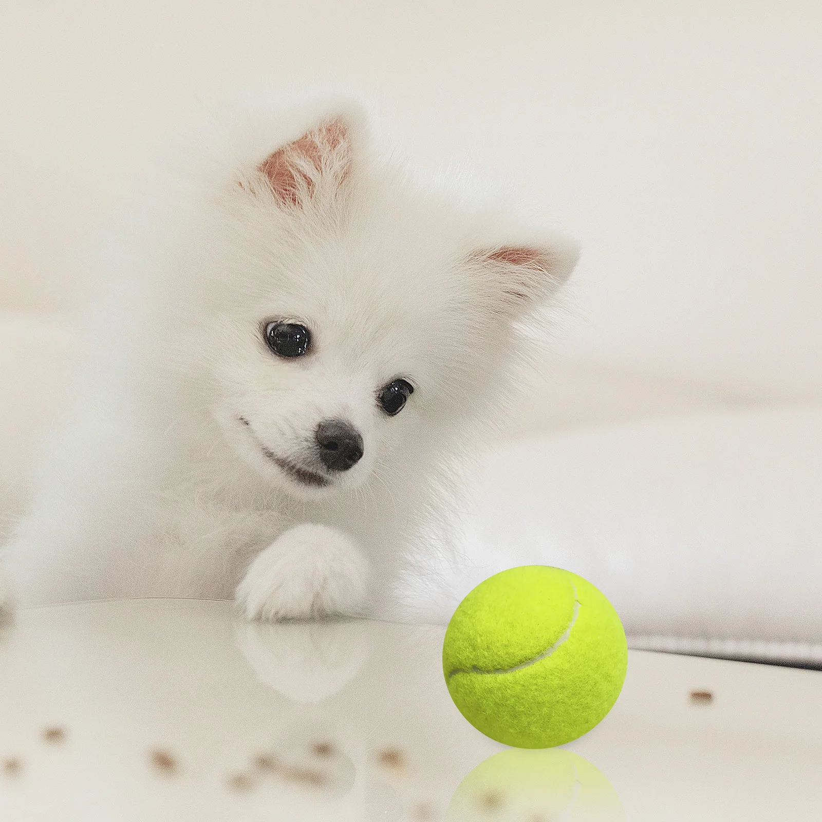 

Professional Reinforced Rubber Tennis Ball Shock Absorber High Elasticity Durable Training Ball For Club School Training