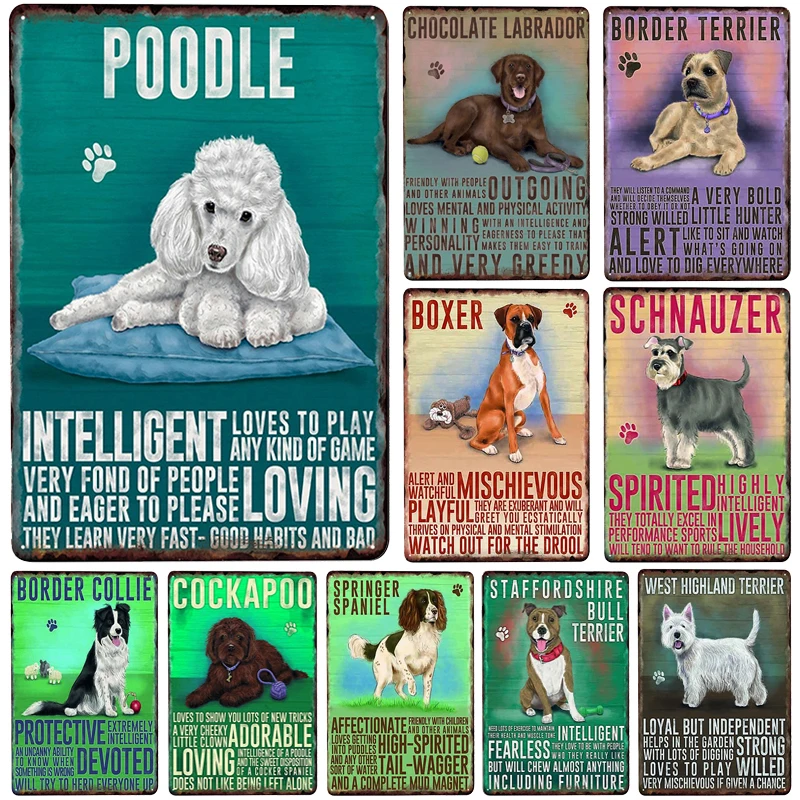 Табличка с надписью Cavalier King Spaniel металлическая винтажная декоративная табличка