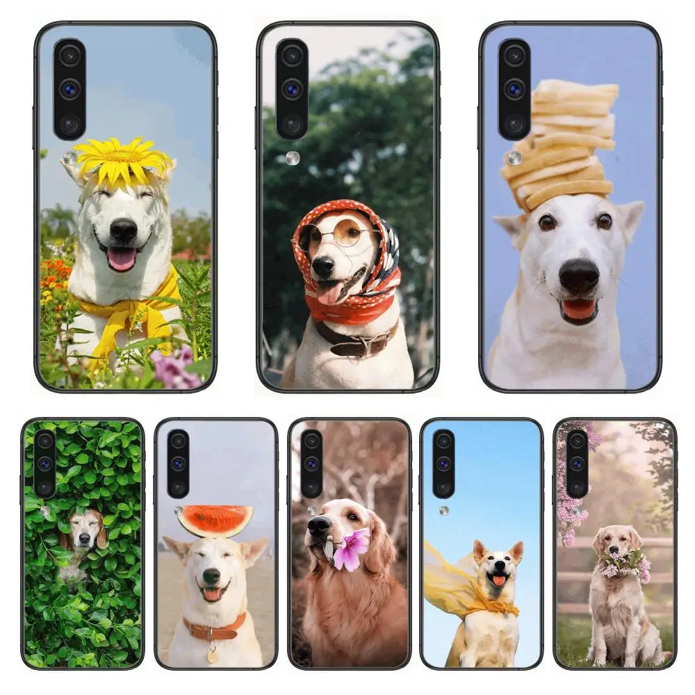 

Teddy Bulldog Pomeranian Corgi Golden dog Cool Phone Case Hull For Samsung Galaxy A 3 5 6 7 8 9 E 2018 Plus 2017 E S Black She