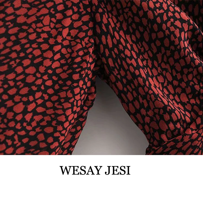 

WESAY JESI 2021 Spring Women Elegant Dot Print Short Dress Long Sleeve V Neck Pleated Office Lady Dresses Polka Dot Dress