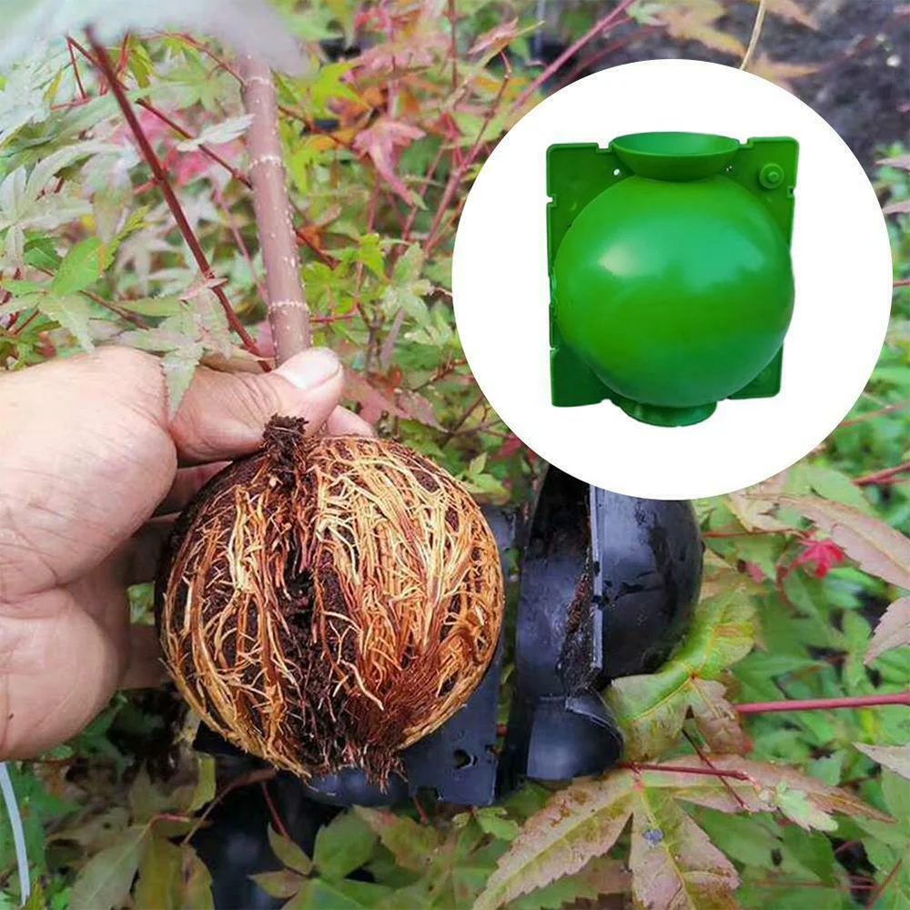 

PP Plant Growing Grafting Rooting Devices Box High Pressure Propagation Ball New