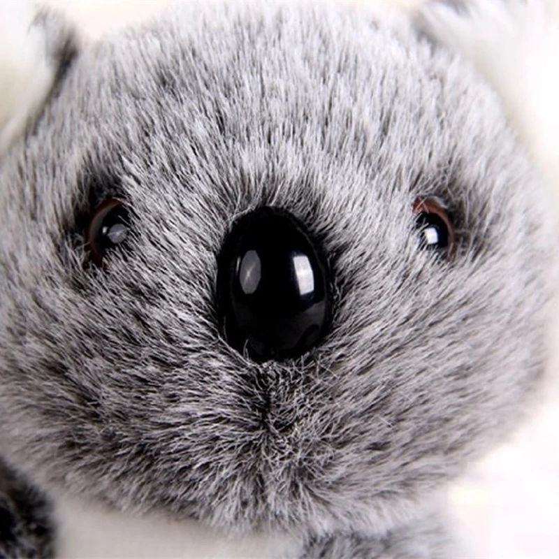 1 шт. кавайная австралийская плюшевая игрушка Koalas мягкие животные милая кукла Koala