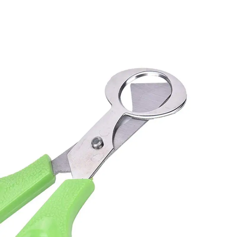 1 Pcs Pigeon Quail Egg Scissor Bird Cutter Opener Kitchen Tool Clipper Color Ran by | Дом и сад