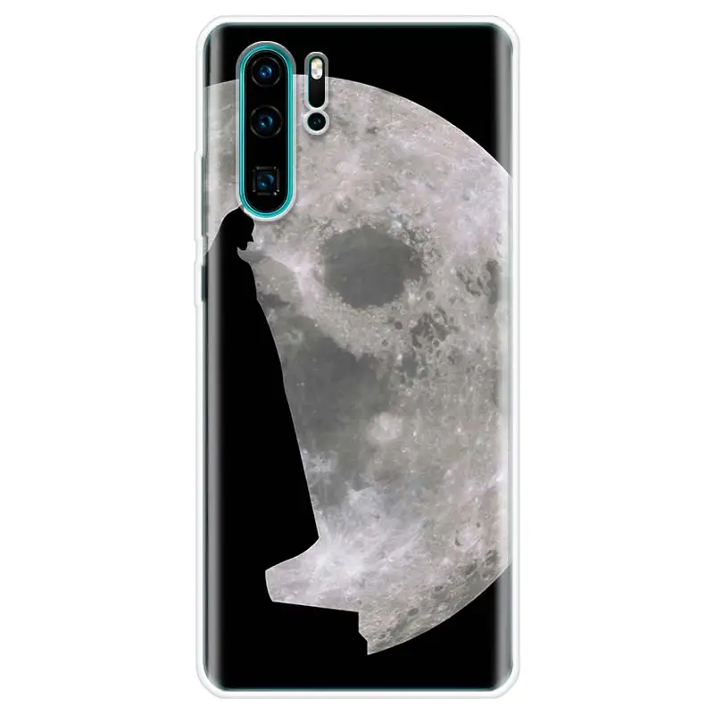 Мягкий чехол для телефона Erille с Бэтменом huawei P10 P20 P30 Lite Pro Hawei mate 10 20 lite P Smart Plus 2019| |