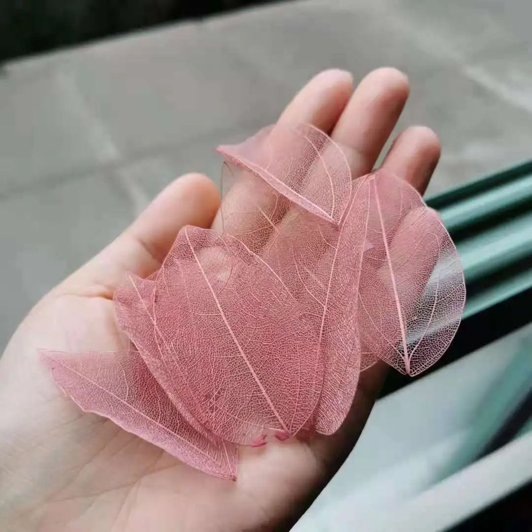 20 штук из натурального сенсорный сушеные Жилка листа лепестки растения DIY Свечи