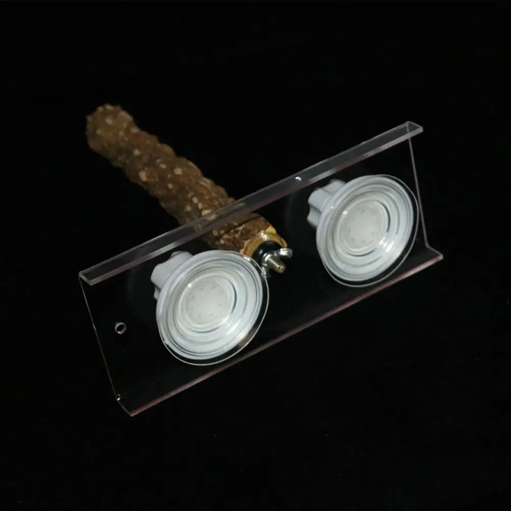 Деревянная стойка Палка с птичьим попугаем присоска для душа окуляр стержень