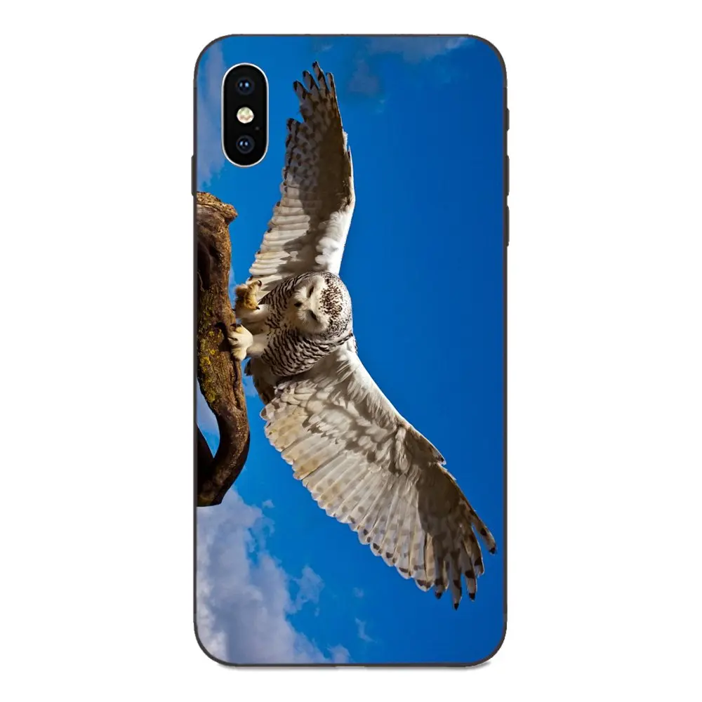 Мягкие чехлы из ТПУ с изображением снежной совы для Galaxy C5 C7 J1 J2 J3 J330 J5 J6 J7 J730 M20 M30 Ace