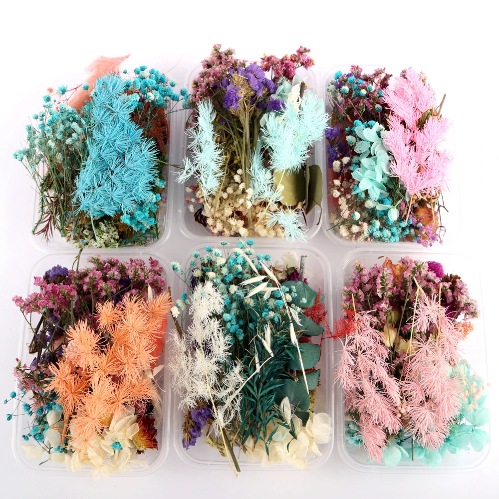 

Dried Flower Dry Plants Box For Aromatherapy Candle Epoxy Resin Pendant Necklace Jewelry Making Craft DIY Accessories