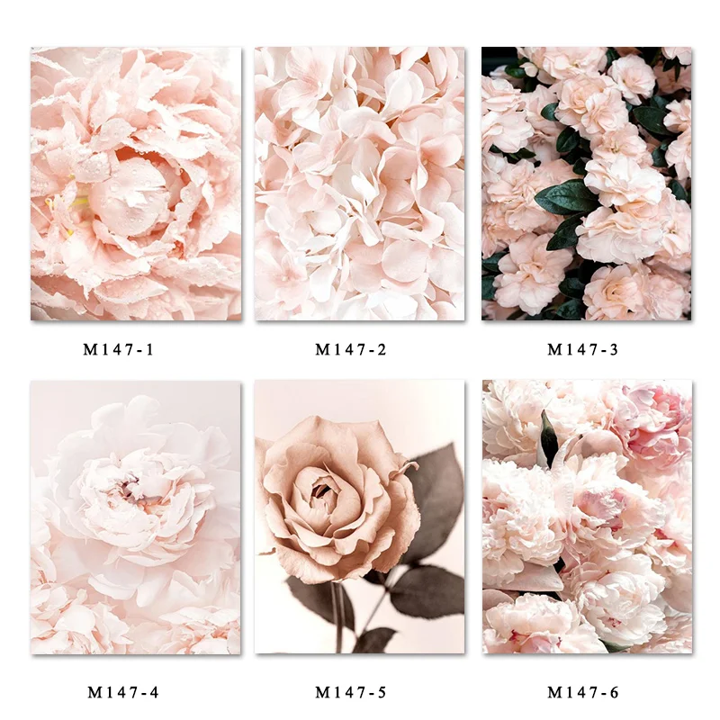 

Pink Carnation Canvas Painting Picture Nordic Peony Flowers Botanical Wall Art Poster for Living Room Modern Home Decoration