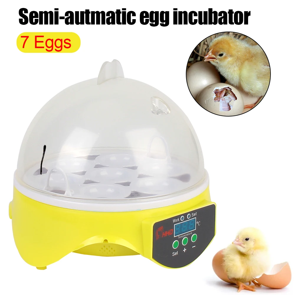

Adjustable Digital Temperature Brooder Automatic Mini Egg Incubator 7 Egg for Chicken Duck Bird Pigeon Poultry Incubator