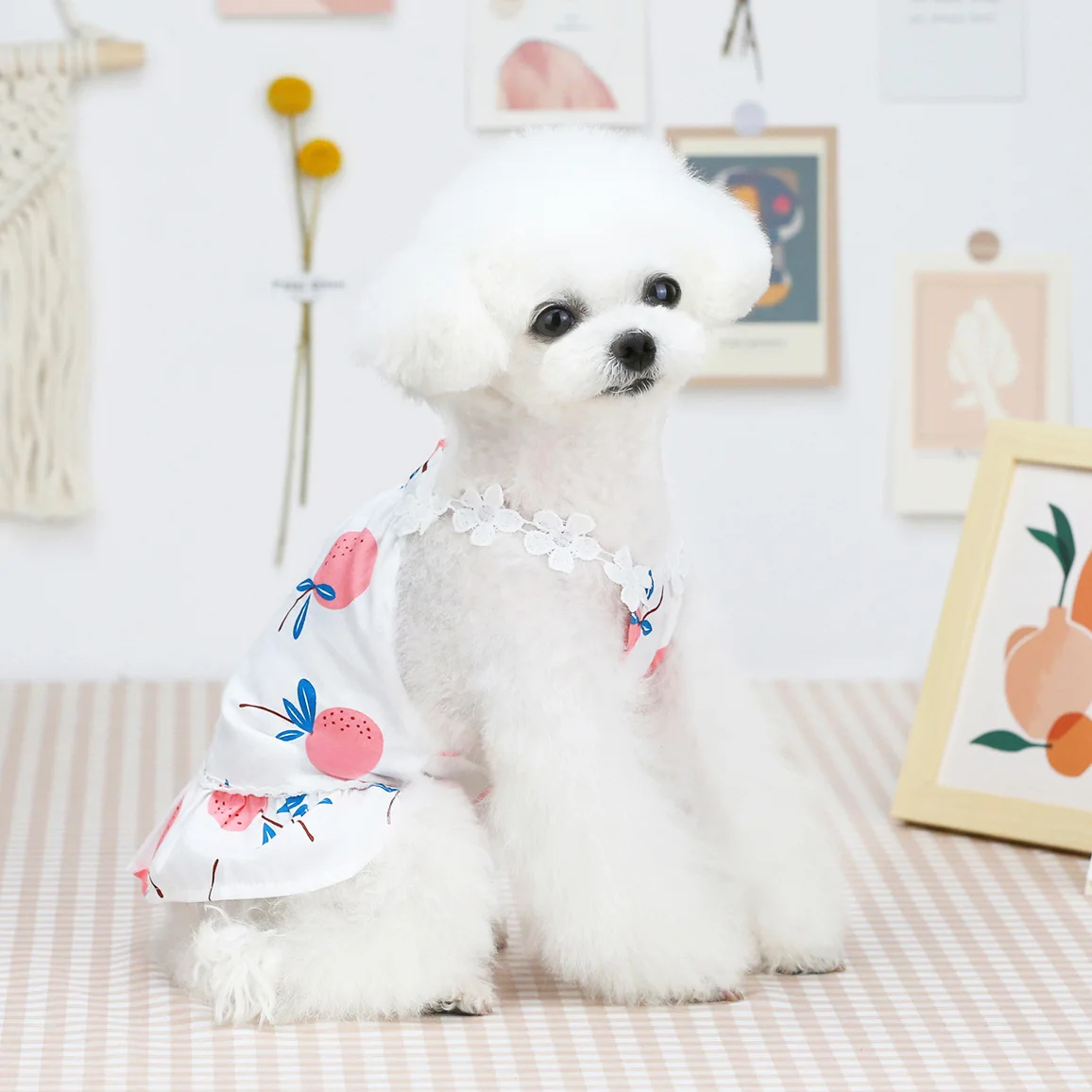 

Pet Dress Dog Clothes Dress Outfit for Small Dogs Cute Pet Clothing Puppy Skirt Dog Clothes Chihuahua