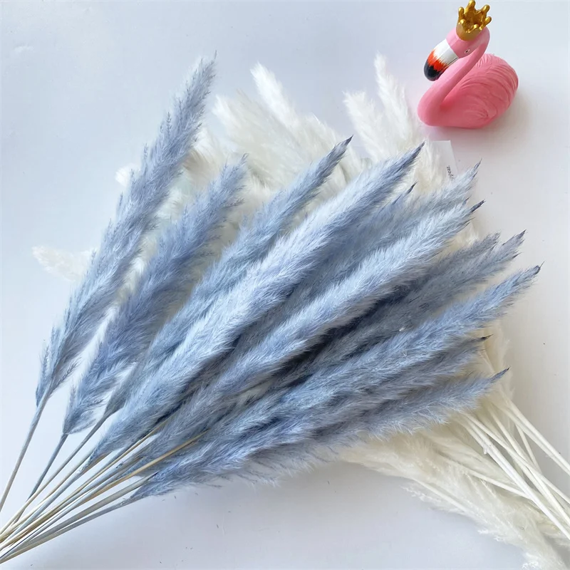 

15pcs White Dry Flowers Gray Bulrush Natural Dried Small Pampas Pink Grass Wedding Flower Marriage Party Home Decor Accessories