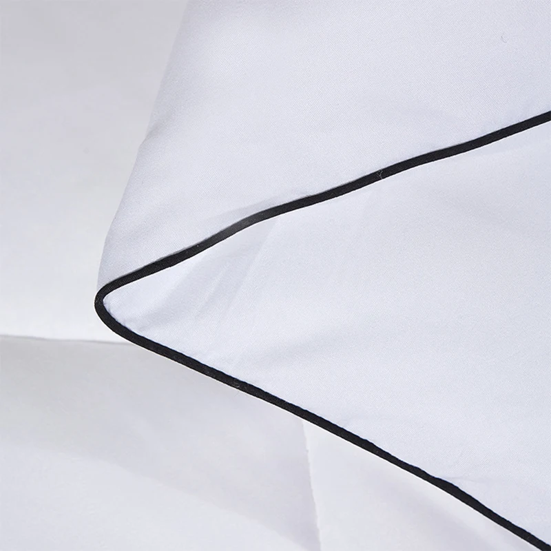 

2020 High-grade Down velvet Quilt five star hotel Winter Comforters 100% Cotton Duvets for King Queen Twin Full Size Comforter