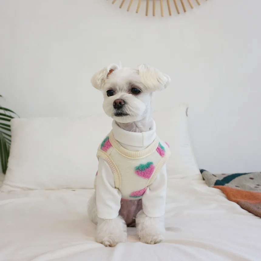 

Cute Strawberry Dog Vest Puppy Teddy Is Warmer Than A Beardog Coat Dog Jumpsuit Button Plush Dog Suit Woolen Knitted Cat Clothes