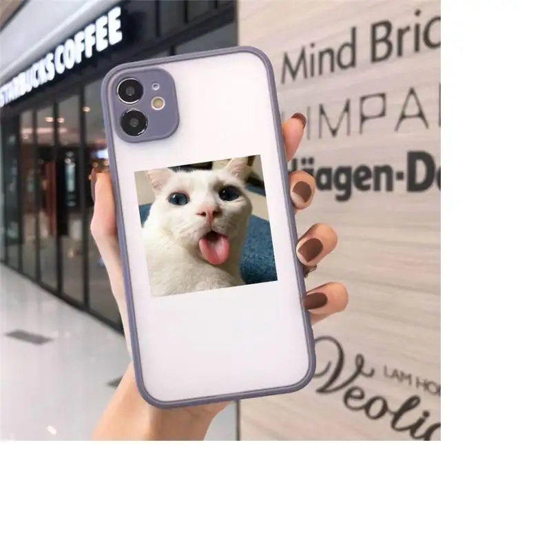 

Cat cute funny pattern Phone Cases matte transparent For iphone 7 8 11 12 plus mini x xs xr pro max luxury brand shell cover