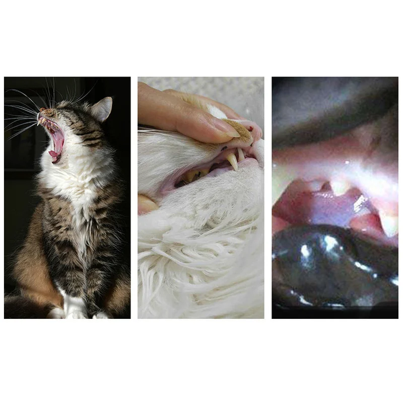 Круглая зубная щетка для животных собак 360 градусов неприятный запах изо рта