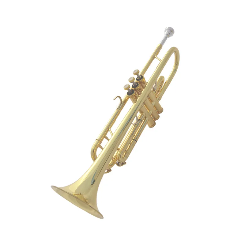 

Oriental Musical Instrument Imported Design Monnell Piston Advanced Small Beginner Grading Professional