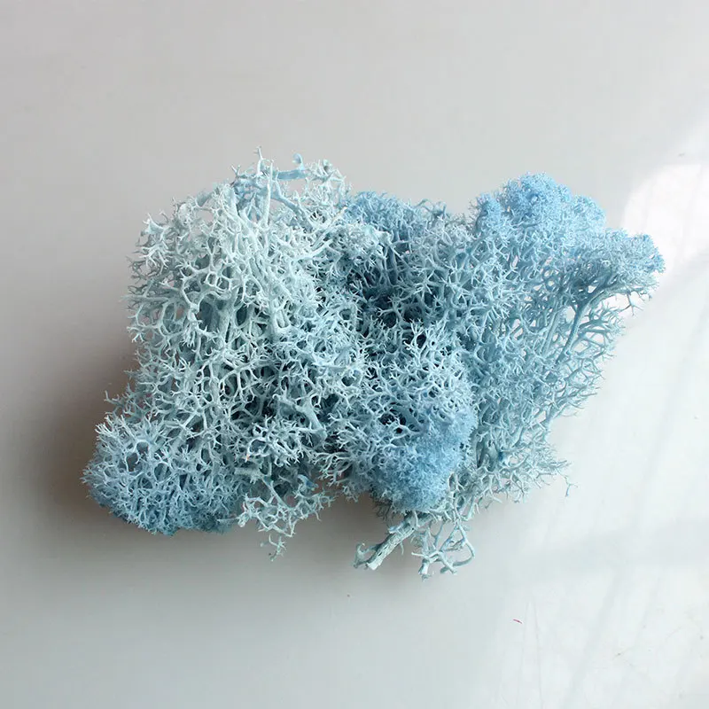 Light-blue Йо Чо натуральный норвежский олень мох консервированный сушеный ремесло цветок тычинки украшение свадебное украшение для сказочного сада декор мускус - Цвет: Light-blue