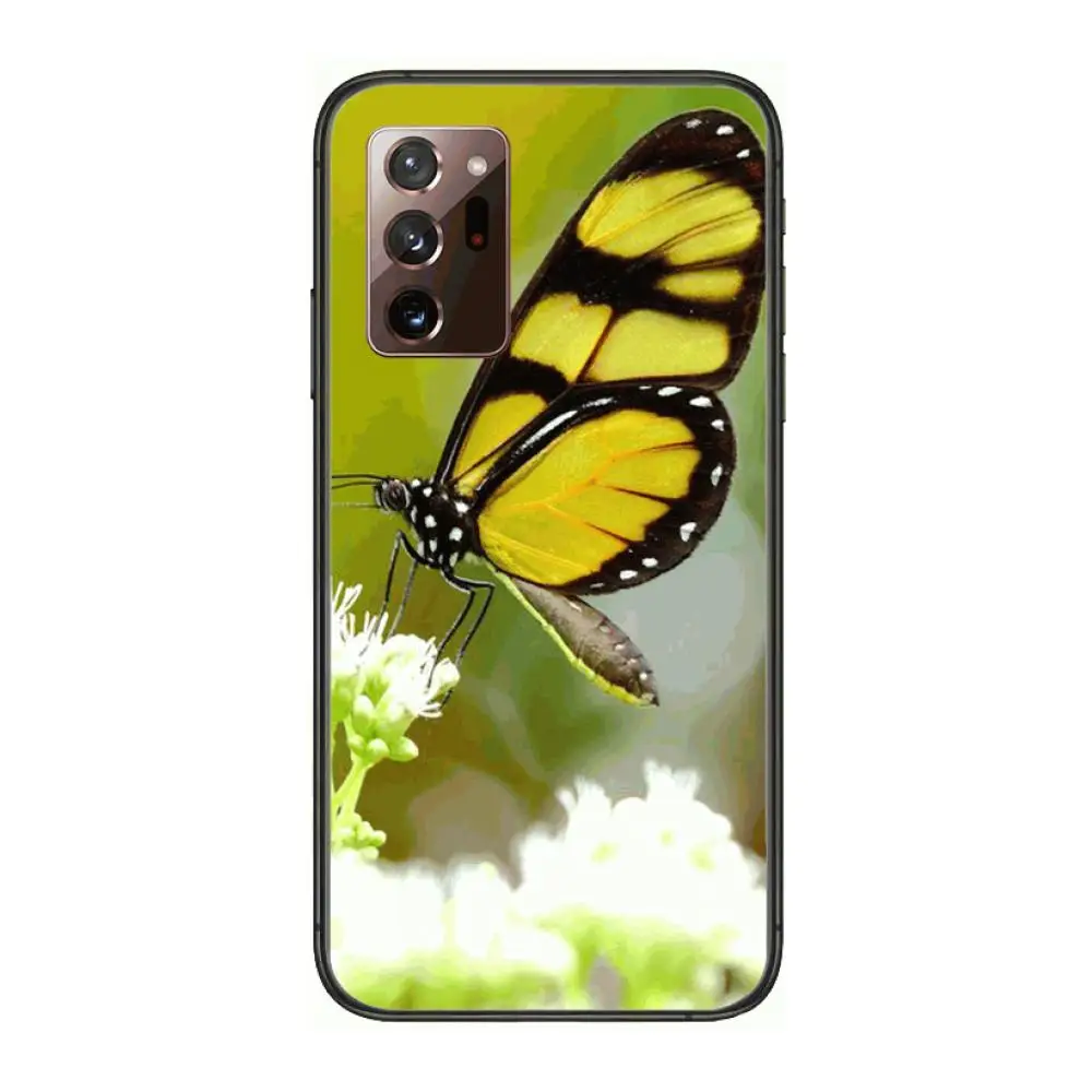 

Butterfly on flower Phone Case cover hull For SamSung note20 10 9 8 4 pro plus black prime soft bumper Transparent